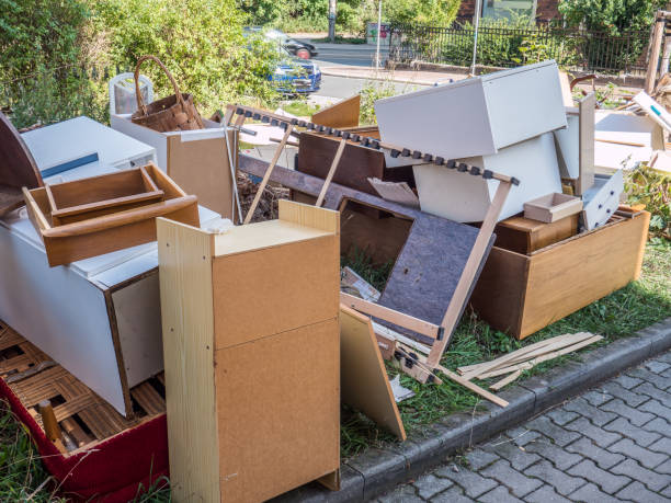 Best Professional Junk Removal  in Boles Acres, NM